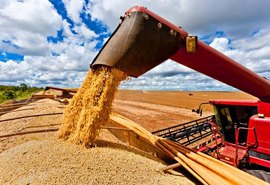 Seminário de Grãos promove integração da cadeia produtiva em Alagoas