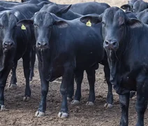 CMN reduz juros de financiamentos a cooperativas rurais pelo Pronaf