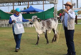 Girolando é a raça bovina com maior participação na pista da 72ª Expoagro Alagoas