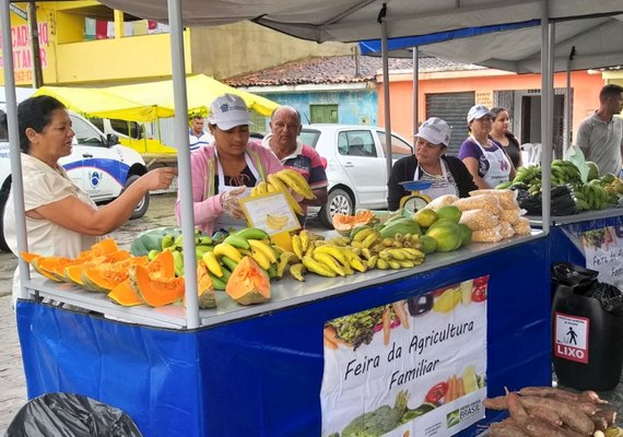 Kits do PAA são entregues em Messias