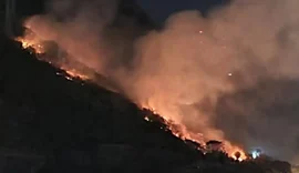 Bombeiros combatem fogo na Floresta da Tijuca por mais de 14 horas