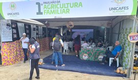 Pavilhão da Agricultura Familiar busca mais desenvolvimento para o segmento