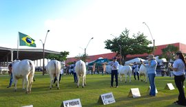 Diretor da ABCZ confirma Expoagro Alagoas como uma das principais feiras do Nordeste