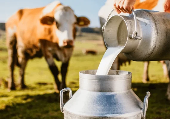 Acordo Mercosul–UE pressiona cadeia do leite e reacende debate sobre competitividade no Brasil