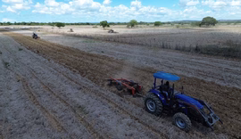 Plantio de arroz em Penedo deve triplicar em 2026 e movimentar R$ 2,2 mi