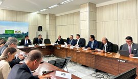 Edgar Antunes participa de reunião da Câmara Setorial da Cadeia Produtiva do Açúcar e do Álcool do Mapa