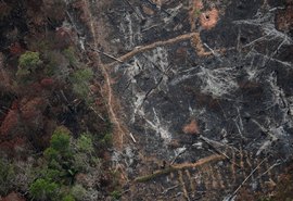 Desmatamento na Amazônia cresce 9,5% em 1 ano e passa de 11 mil km²
