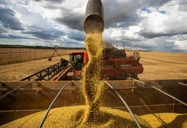 Inflação recua em agosto e preço do arroz cai pela metade em um ano