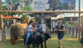 Expoagro: Começa a festa do campo na cidade