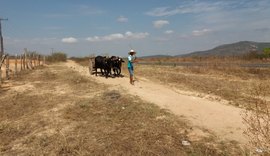 Agricultores familiares de AL recebem Garantia-Safra a partir desta terça (17)