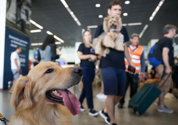 Governo Federal lança Plano de Transporte Aéreo de Animais