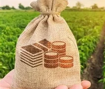 Nova lei reduz benefícios fiscais e pode elevar custos no agronegócio