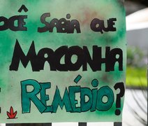Assembleia do Ceará recebe 2º Simpósio Cearense de Cannabis Medicinal