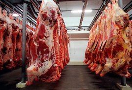 Exportações totais de carne bovina crescem 107% em junho