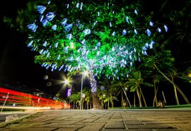 Decoração natalina de Maceió é reduzida em 40% para evitar aglomerações