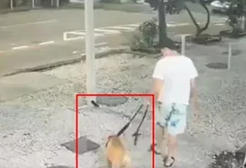 Homem vira réu após ser filmado afogando o próprio cão em Copacabana