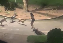 Vídeo: jovem é atacada por cães de rua durante a madrugada em parque de Arapiraca