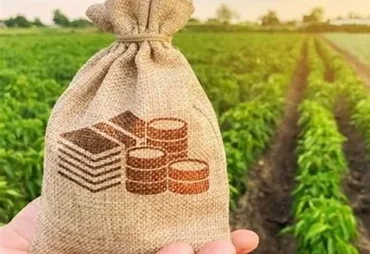 Nova lei reduz benefícios fiscais e pode elevar custos no agronegócio