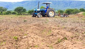 Programa Terra Arada 2020 será lançado nesta sexta-feira (27) em Palmeira dos Índios