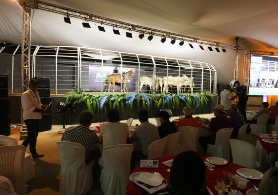Agro CPMF promove 17º Leilão Nelore Positivo no dia 26 de outubro