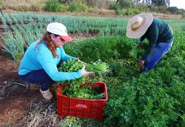 Governo Federal anuncia abertura do sistema do PAA para Compra com Doação Simultânea da Agricultura Familiar