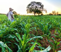 Governador de AL encaminha à ALE projetos de lei que beneficiam a agricultura familiar no estado