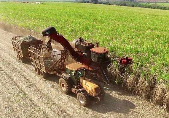 Produção de açúcar em Alagoas ultrapassa 1,2 milhão de toneladas