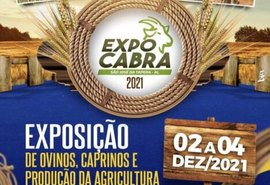 São José da Tapera promove, neste final de semana, a edição 2021 da Expocabra