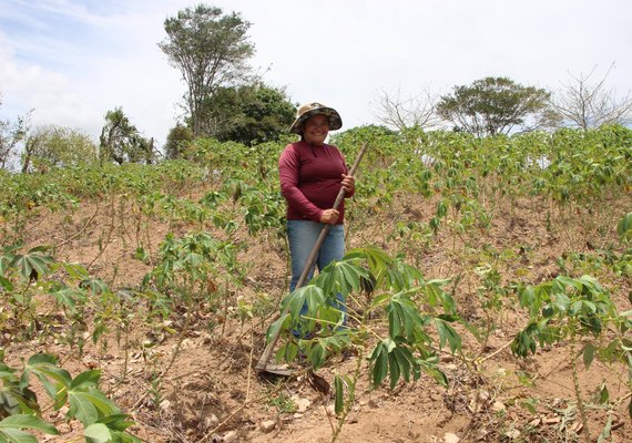 Pagamento do Garantia-Safra começa a ser liberado em Alagoas; confira