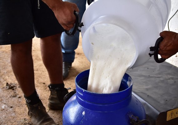 CPLA inova com participação de mulheres em torneio leiteiro da Expo Bacia