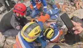Cachorra é salva por brasileiros após 100 horas presa em escombros