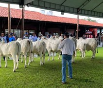 Expoalagoas Genética vai acontecer de 15 a 21 de abril no Parque da Pecuária