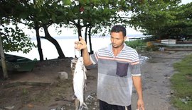 Chuvas dificultam atividade pesqueira no Flexal a se reestabelecer