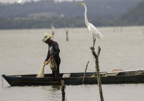 Mudanças no seguro-defeso visam combater fraudes e garantir benefício a pescadores
