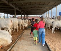 “Expoagro-AL estará no centro do agronegócio brasileiro”, aponta presidente da Agreste Leilões