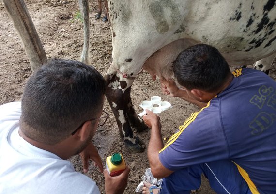 CPLA promove palestra para produtores de leite na Expo Bacia