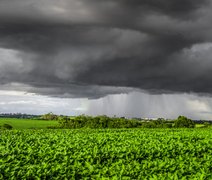 Clima de outono preocupa safra com calor e chuva irregular