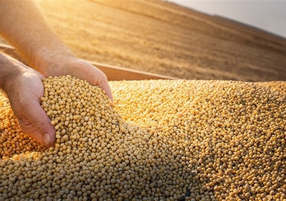 Safra de soja no Brasil deve bater recorde de 174 milhões de toneladas