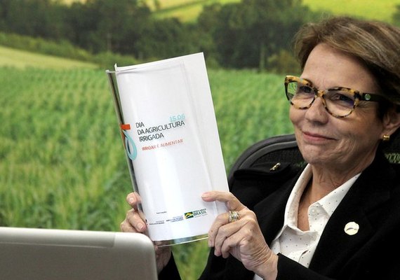 Brasil pode ampliar potencial de agricultura irrigada, diz ministra em evento