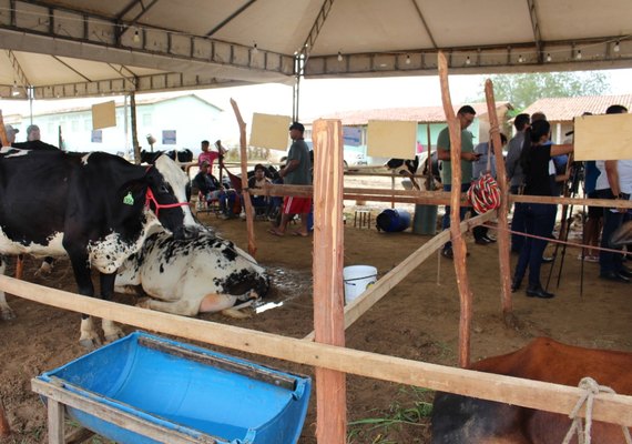 Torneio Leiteiro de Pau Ferro valoriza agricultura familiar