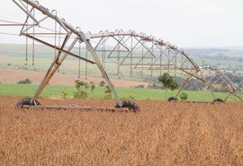Safra recorde de grãos deve chegar a 240,7 milhões de toneladas