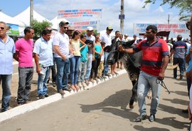 Expo Bacia vai fortalecer setor leiteiro do Nordeste