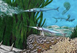 Espécie de peixe identificada por brasileiros viveu há 66 milhões de anos na Antártida