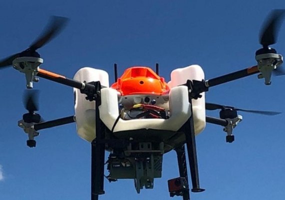 Controle biológico é sucesso no combate as pragas da cana-de-açúcar