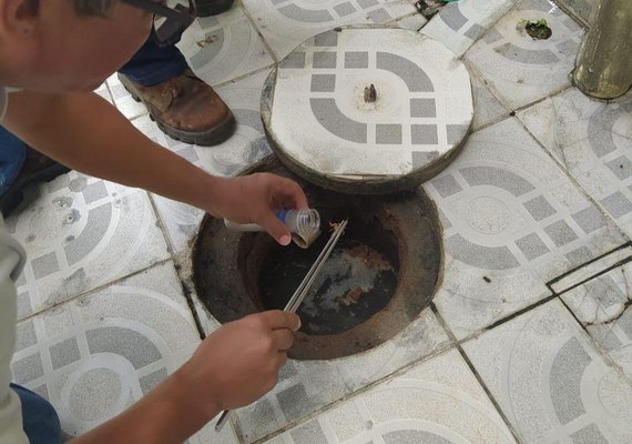 Secretaria de Saúde de Maceió registrou mais de 1000 acidentes com escorpiões em 2024