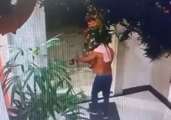 Homem invade prédio e furta árvore de Natal da portaria