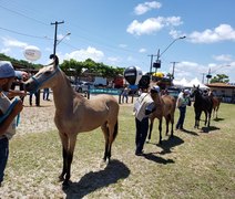 72ª Expoagro Alagoas terá programação especial para o Mangalarga Marchador