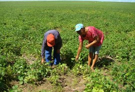 Presidente da Fetag/AL diz que Plano Safra não beneficia o pequeno produtor