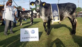 71ª Expoagro/AL vai sediar eventos regionais da raça Girolando