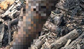 Corpo carbonizado é encontrado em canavial no Cruzeiro do Sul, em Alagoas
